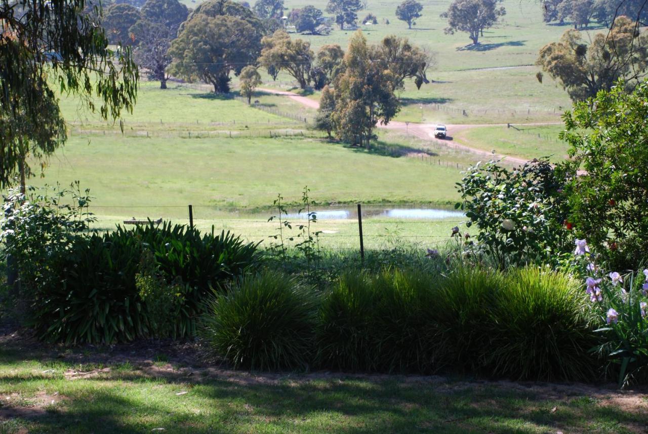 Bluegum Ridge Cottages Merrijig Room photo